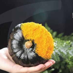 A HEALTHY TASTE OF FALL